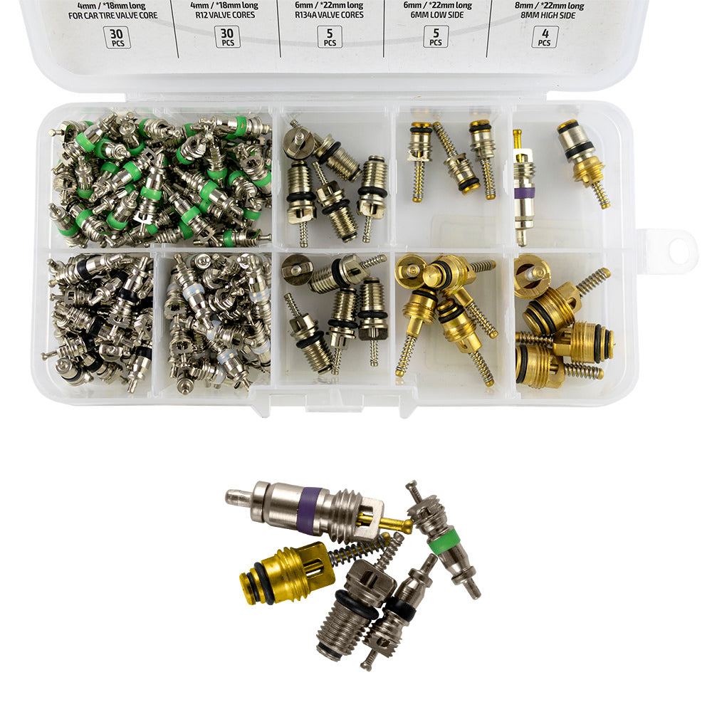 JBM 53599 | Schrader ventilsats for klimaanlegg -  134 deler